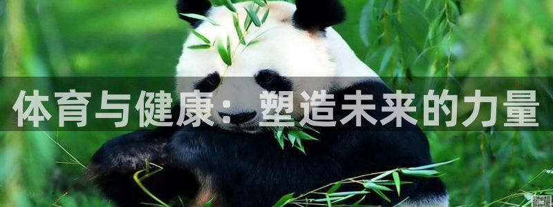 尊龙官网下载招商:体育与健康:塑造未来的力量