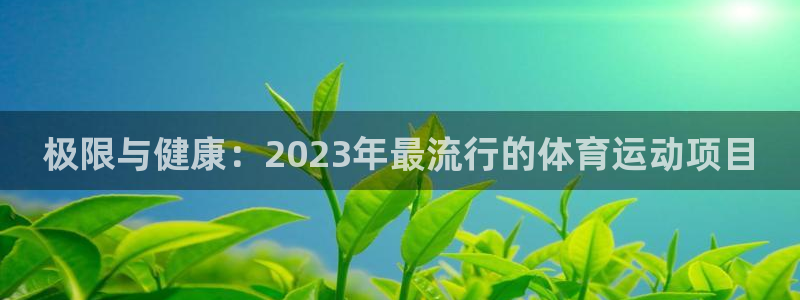 尊龙官方正版app新能源:极限与健康:2023年最流行的体育