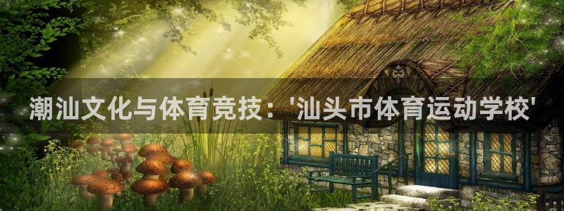 尊龙官方正版app集团logo:潮汕文化与体育竞技:\'汕头